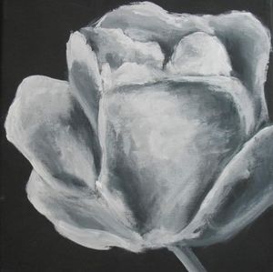 8" x 10" White Rose Print